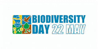 Internationale_Dag_van_de_Biodiversiteit