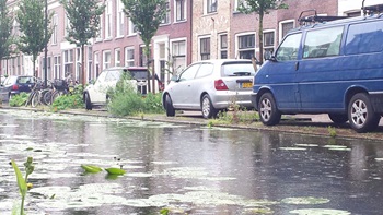 Foto bij Wandeling in Delft 720x405px
